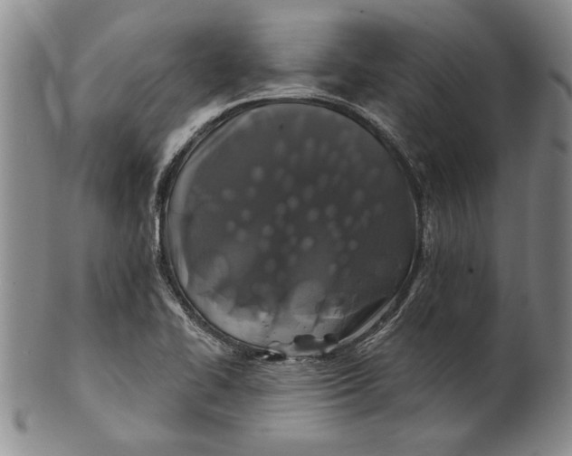 X0000100751414200807101652