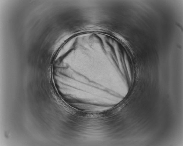 X0000100751415200807101652