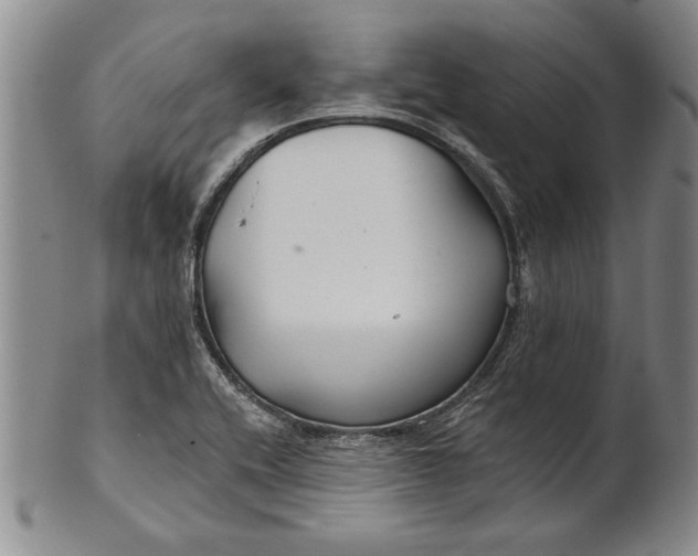 X0000100751416200807101652