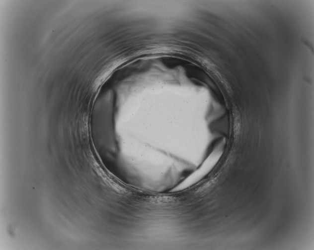 X0000100751417200807101652