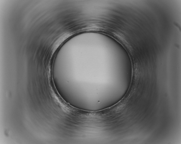 X0000100751418200807101652