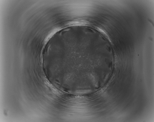 X0000100751419200807101652