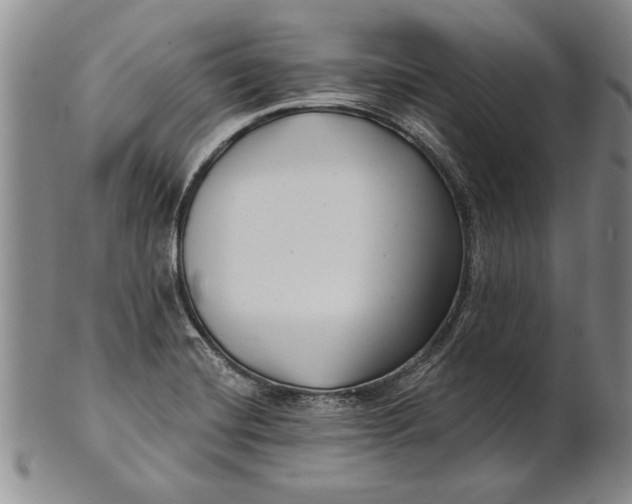 X0000100751420200807101652