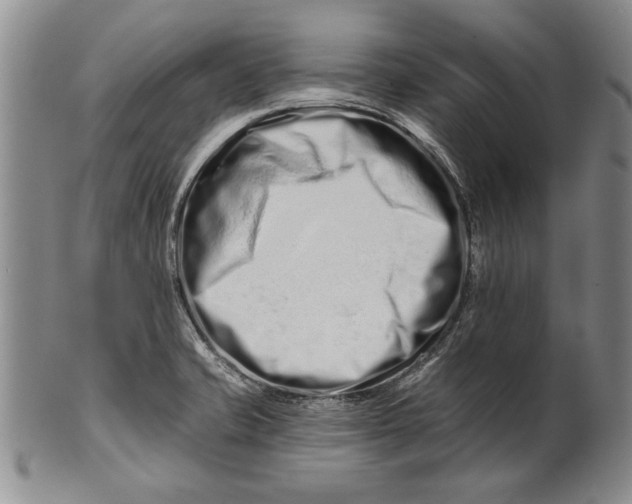 X0000100751421200807101652