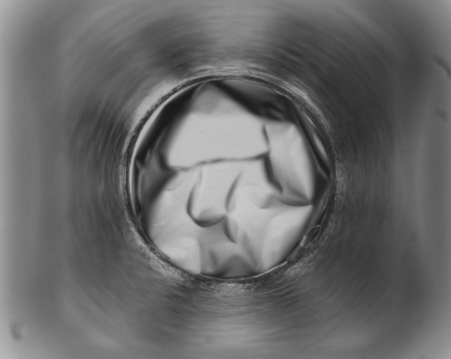 X0000100751424200807101652