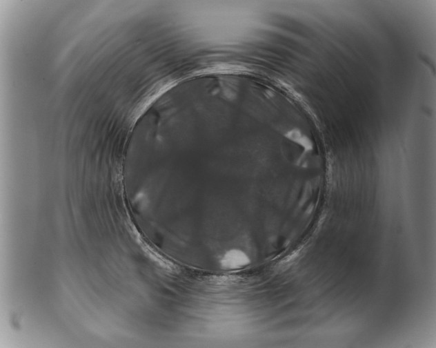 X0000100751425200807101652