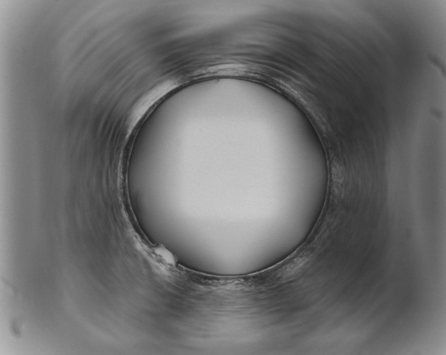 X0000100751426200807101653