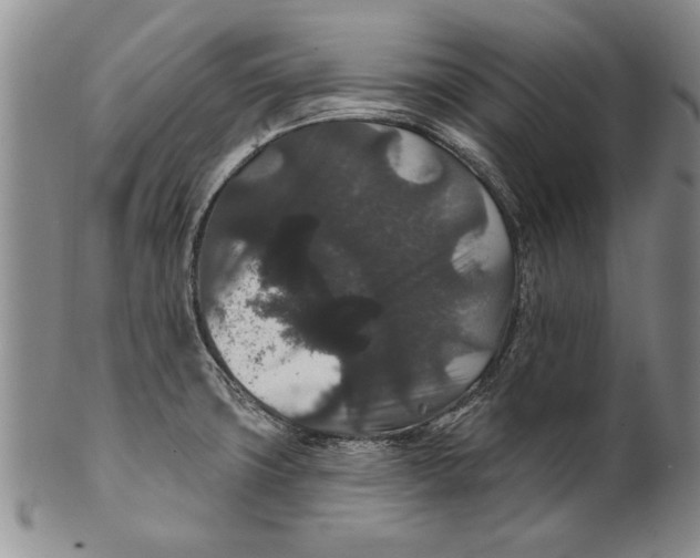 X0000100751427200807101653