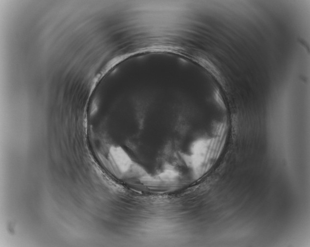 X0000100751428200807101653