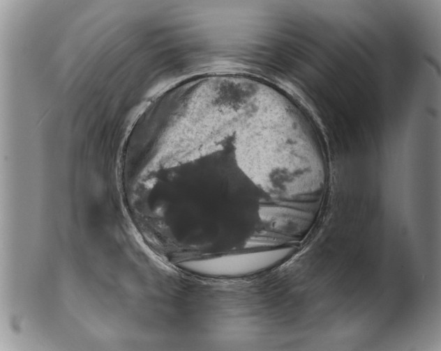 X0000100751429200807101653