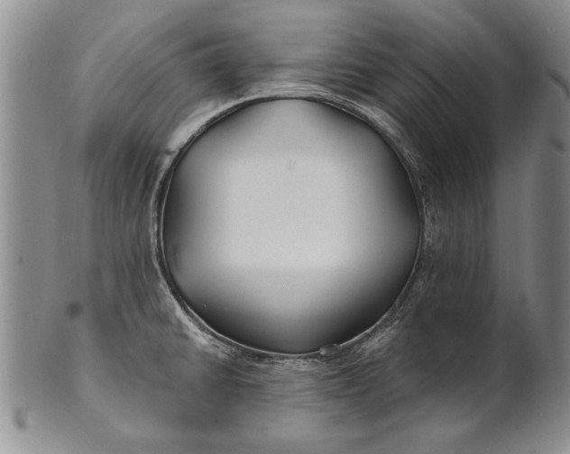 X0000100751430200807101653