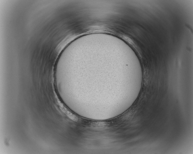 X0000100751431200807101653