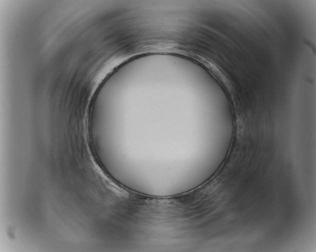 X0000100751432200807101653