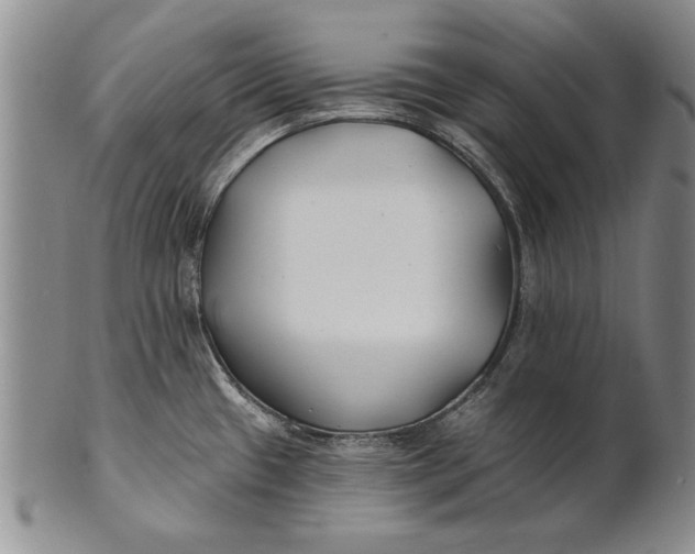 X0000100751433200807101653