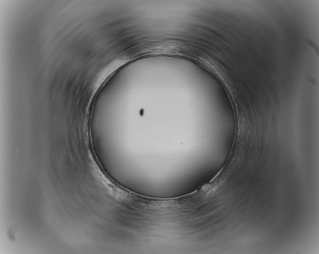 X0000100751434200807101653