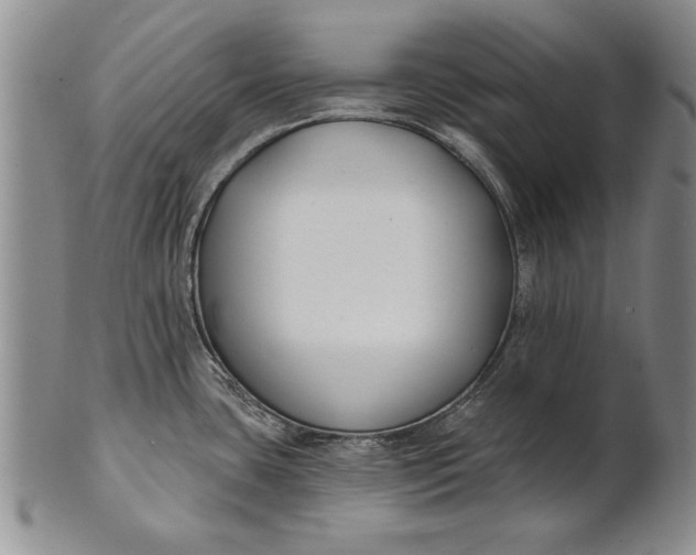 X0000100751435200807101653