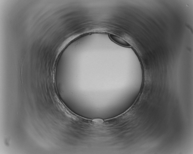 X0000100751436200807101653