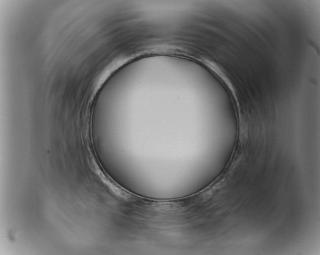 X0000100751437200807101653