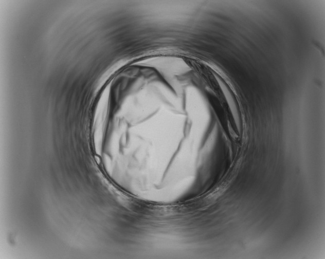 X0000100751438200807101653