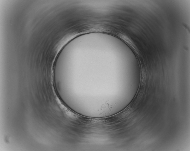 X0000100751439200807101653