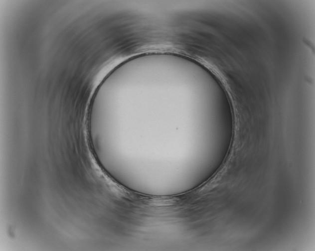 X0000100751440200807101653