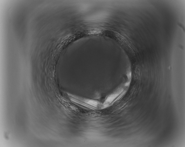 X0000100751441200807101652