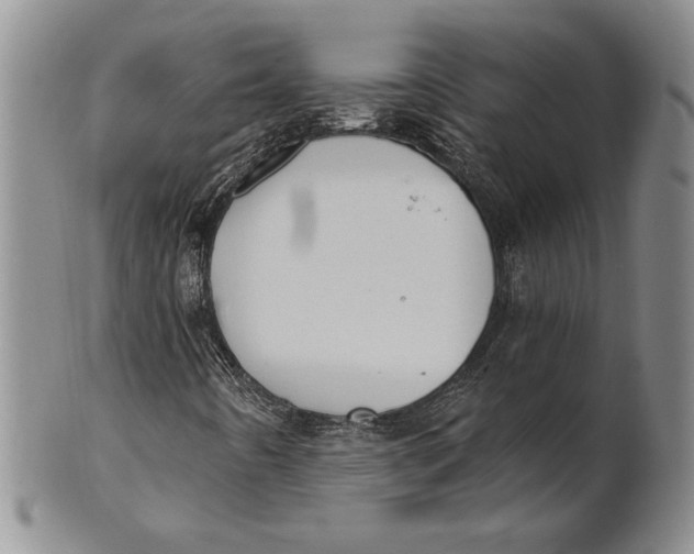 X0000100751442200807101652