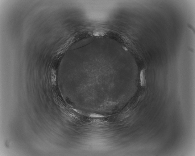 X0000100751443200807101652