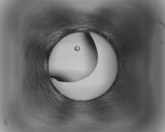 X0000100751444200807101652