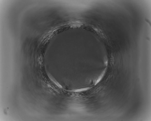 X0000100751445200807101652