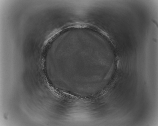 X0000100751448200807101652