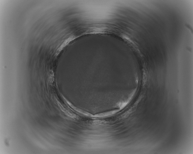 X0000100751449200807101652