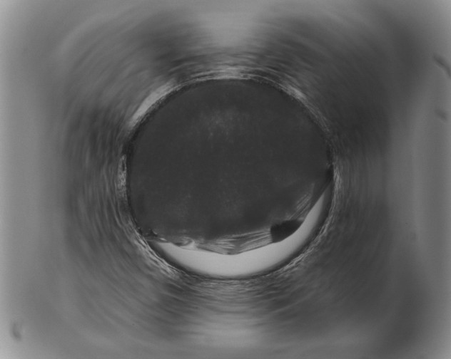 X0000100751450200807101652