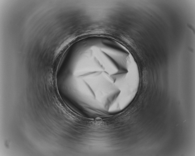 X0000100751452200807101652