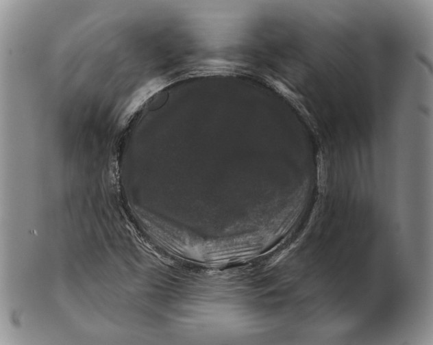 X0000100751453200807101652