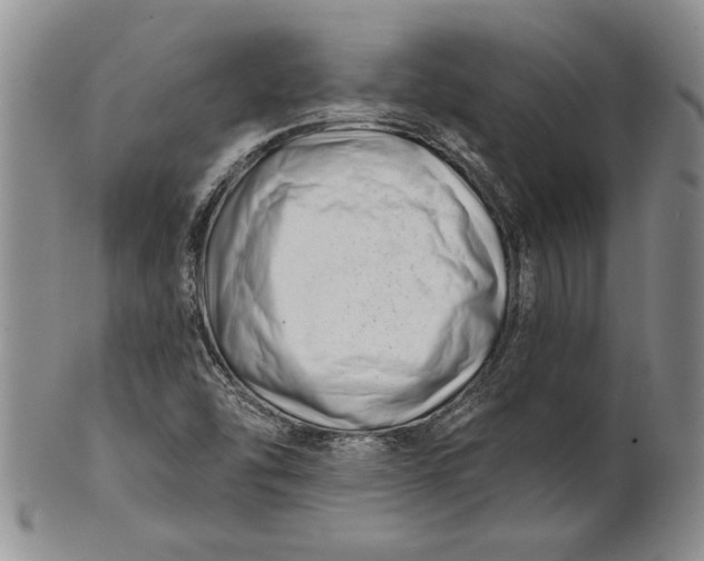 X0000100751454200807101652