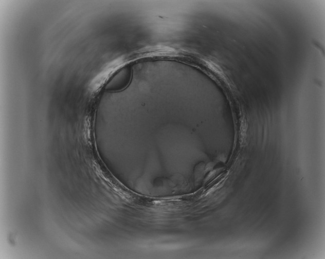 X0000100751455200807101652