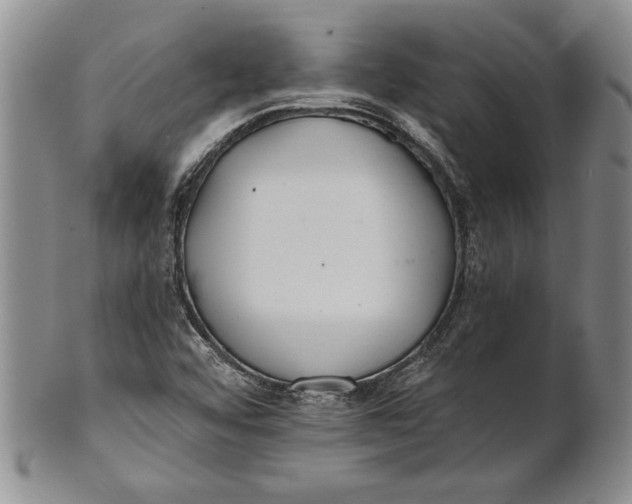 X0000100751456200807101652