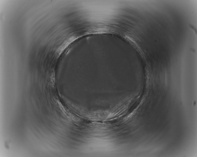 X0000100751457200807101652