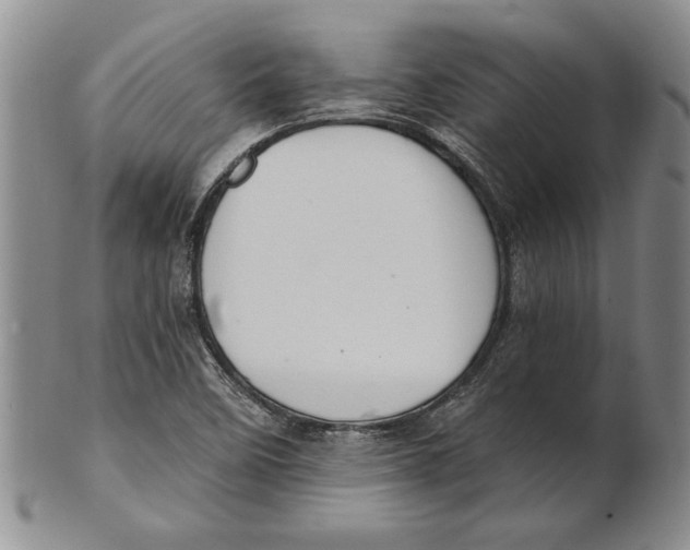 X0000100751458200807101652