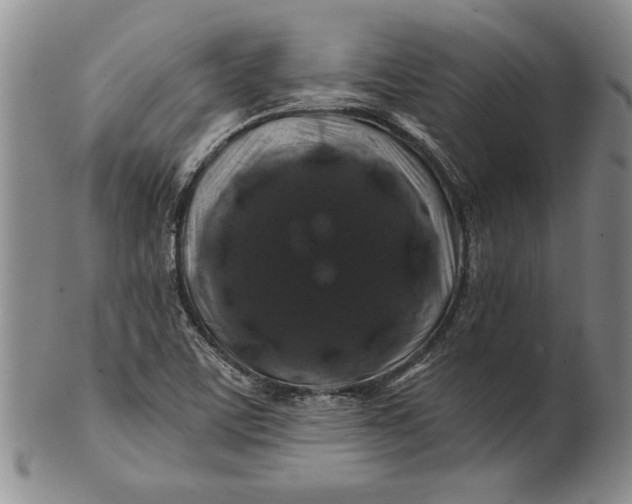 X0000100751459200807101652