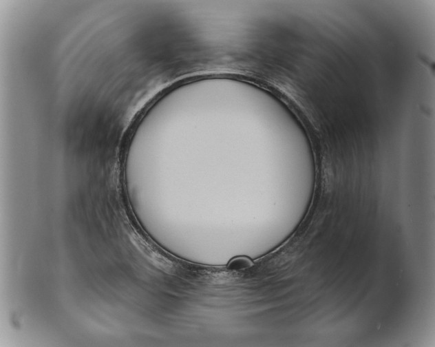 X0000100751460200807101652