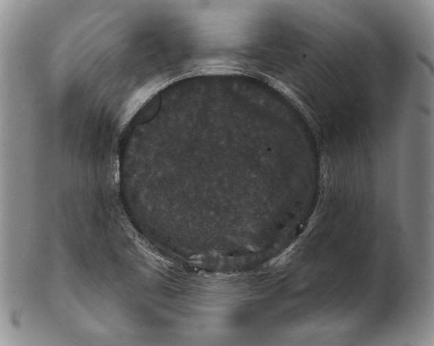 X0000100751461200807101652