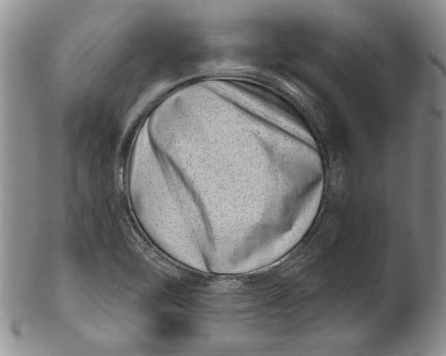 X0000100751462200807101652