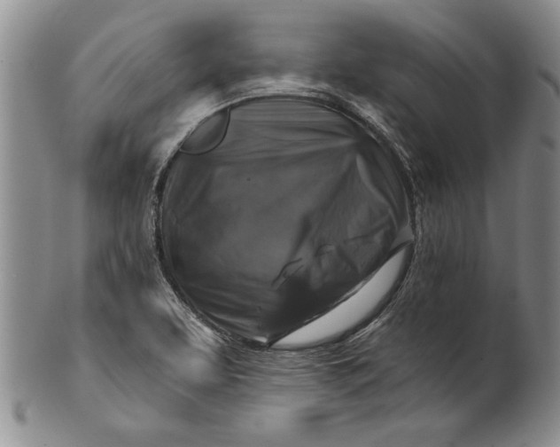 X0000100751463200807101652