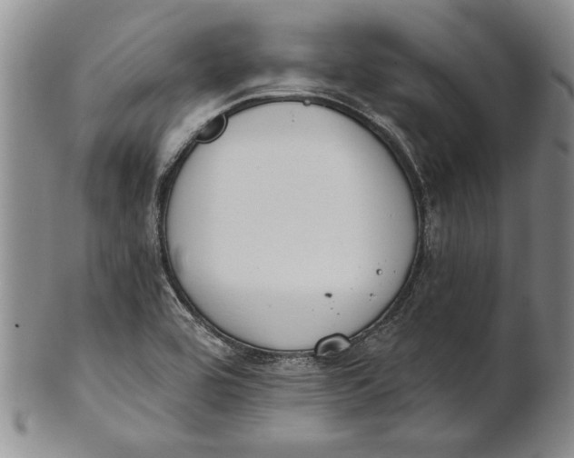 X0000100751464200807101652