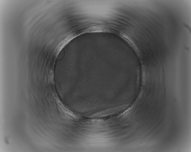 X0000100751465200807101652