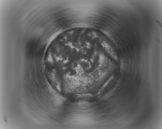 X0000100751466200807101652