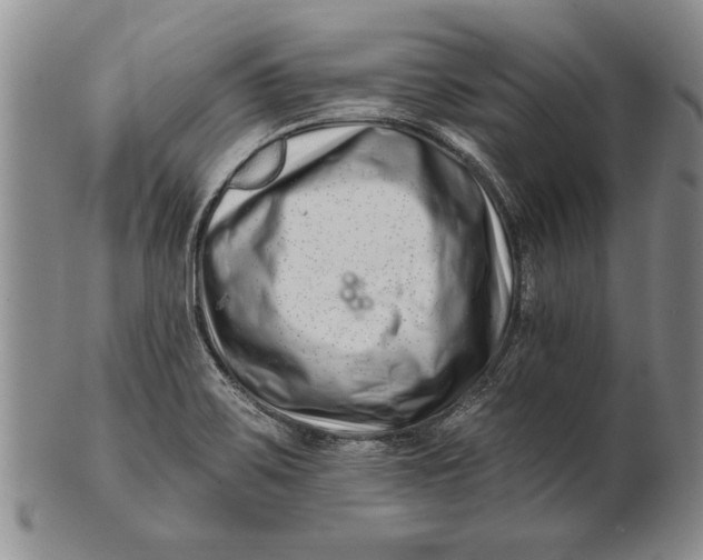 X0000100751467200807101652