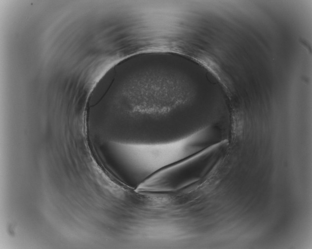 X0000100751468200807101652